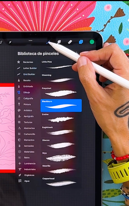 Oferta Black Friday!! Emprende con tu Arte