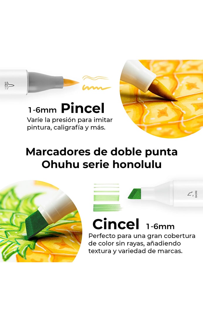 Set 6 Marcadores Alcohol Doble Punta Tonos Básicos