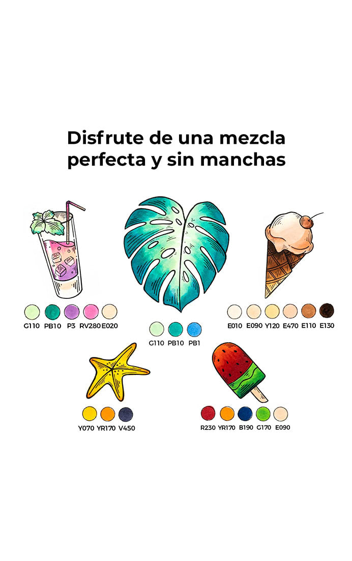 Set 6 Marcadores Alcohol Doble Punta Tonos Básicos