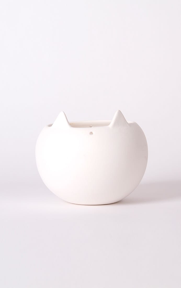 Macetero Colgante Gato