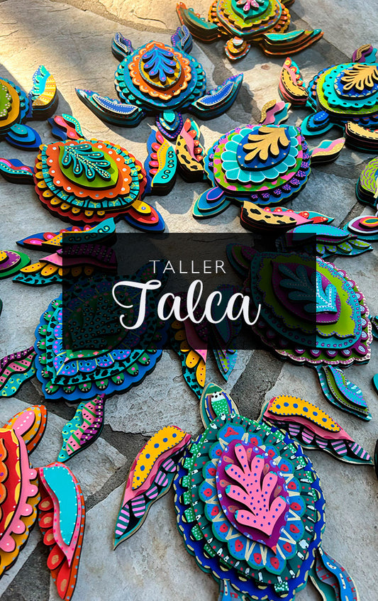 Taller Tortuga Talca